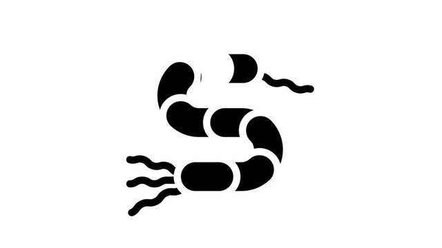 spirilla bacteria glyph icon animation