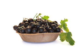 Black currant on plate with leaves isolated on a white