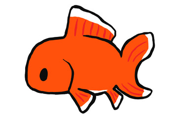 オランダ獅子頭の金魚のイラスト