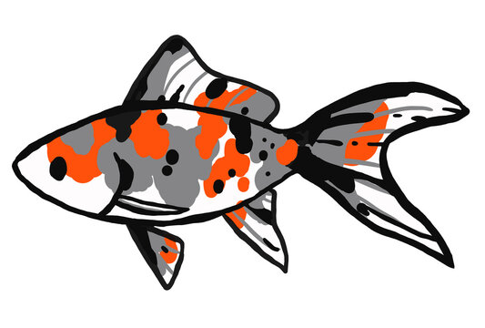 朱文金images Browse 3 Stock Photos Vectors And Video Adobe Stock