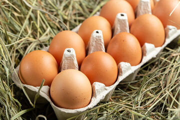 Chicken eggs in the hay. Home products. Farming concept.