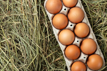 Chicken eggs in the hay. Home products. Farming concept.