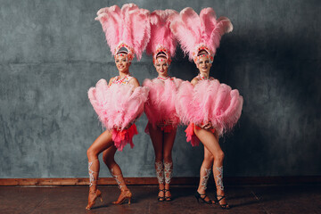 Three Women in cabaret costume with pink feathers plumage - obrazy, fototapety, plakaty