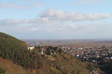 Pfalzblick von der Limburg