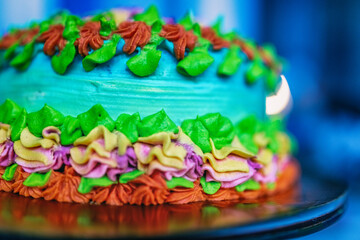 Homemade organic sponge cake close-up.