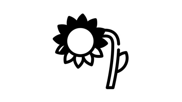 sunflower plant black icon animation