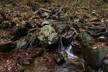 紅葉シーズンの三頭山