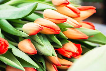Bouquet of orange tulips close-up, a beautiful bouquet of tulips on the background of nature. Spring landscape. Floral background