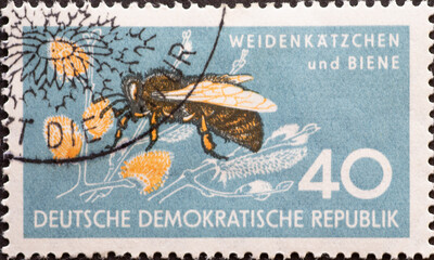 GERMANY, DDR - CIRCA 1959 : a postage stamp from Germany, GDR showing a honey bee Apis mellifica...