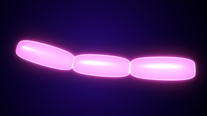 3d illustration of bacteria anatomy