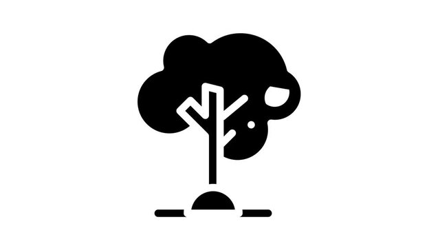 olive tree glyph icon animation