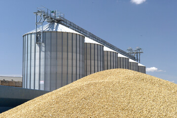 Moisson orge, coopérative avec cellules de stockage © S. Leitenberger