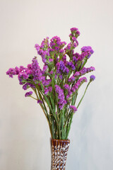 Living area and empty space