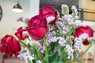 Living area and empty space