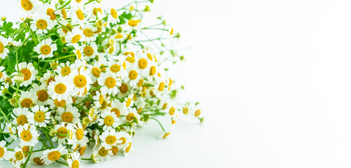 Obraz na płótnie Canvas Beautiful small white chrysanthemum flowers poster background