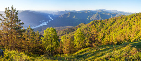 Valley of the Katun river in the Altai mountains on a summer morning, view from the top