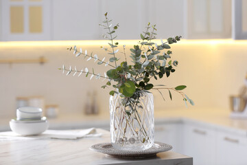 Beautiful eucalyptus branches on table in modern kitchen. Interior design