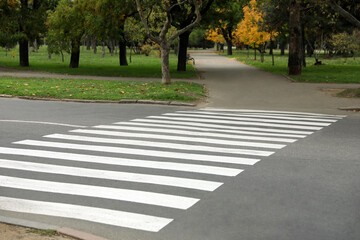 Pedestrian crossing on empty city street in autumn