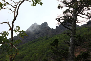 Fototapeta premium 登山道より赤岳の頂上を望む。 八ヶ岳の代表的山、赤岳。 