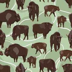 Seamless pattern. European bison Bison bonasus Males, females and calves European wood bison. The wisent or the zubr. Realistic vector wild animals of Europe. Bialowieza Forest. © AnnstasAg