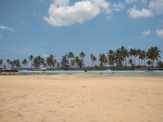 beach with trees, Pozhikkara beach Kollam Kerala