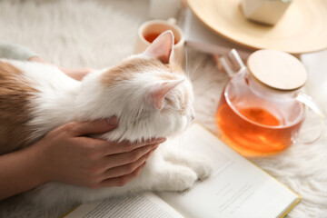 Woman with cute fluffy cat, tea and book on faux fur, closeup