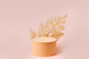 Podium with leaf   to show cosmetic products. Monochrome beige color background for branding and packaging presentation.