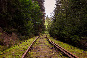 Stillgelegte Bahnstrecke im Thüringer Wald