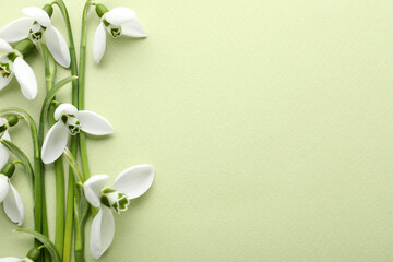 Beautiful snowdrops on light background, flat lay. Space for text