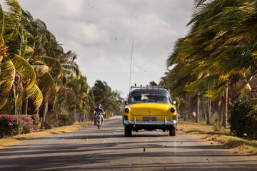 Old american car on street with full of palm trees around. Beatiful road of Bay of Pigs, Cuba