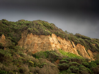 Fototapeta na wymiar Cliff at Costa da Caparica, Portugal