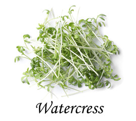 Heap of fresh organic microgreen on white background, top view