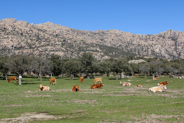 La Pedriza