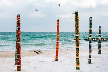 birds on the beach. black sea in winter