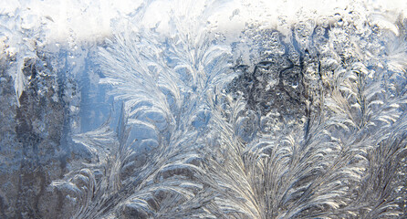 frost pattern on a window glass in the winter (as an abstract winter background).