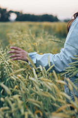 Naklejka na ściany i meble A woman in a denim jacket touches green ears of wheat with her hand