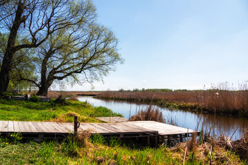 Wiosna nad Narwią, Narwiański Park Narodowy, Podlasie, Polska © podlaski49