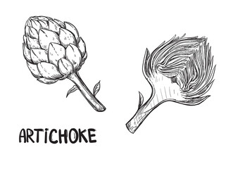 Hand drawn sketch black and white of artichoke, slice, leaf. Vector illustration. Elements in graphic style label, sticker, menu, package. Engraved style illustration.