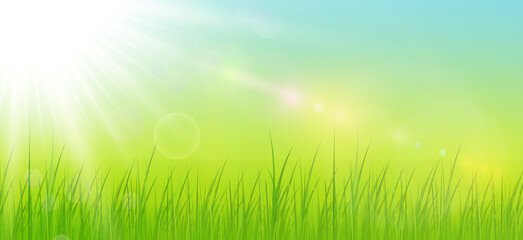 Fototapeta na wymiar Sunny natural background, summer sun with green grass and blurry bokeh as fresh green spring background, nature vector illustration.