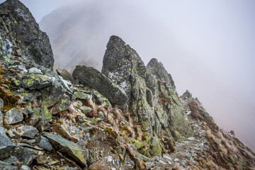 Szpoglasowy Wierch Tatry