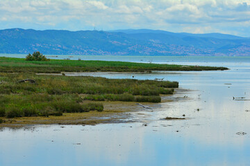 Fototapeta na wymiar The wetlands of Isola Della Cona in Friuli-Venezia Giulia, north east Italy 