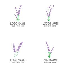 Lavender Logo Template vector symbol nature