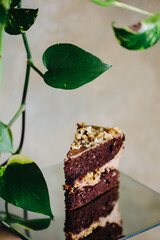 a piece of delicious Prague cake