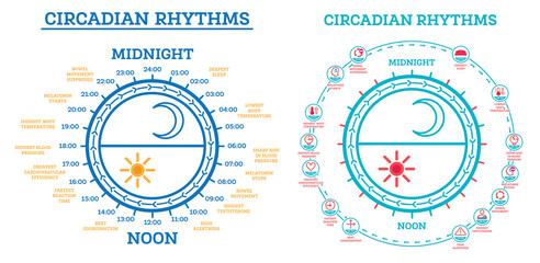 Circadian Rhythm Set. Scheme of Sleep Wake Cycle.