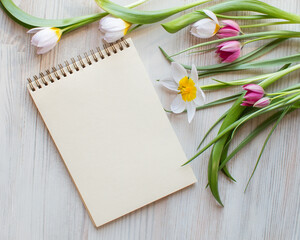 blank notepad with place for your text, Fresh garden pink and white tulips, spring flowers on white wooden background, top view from above