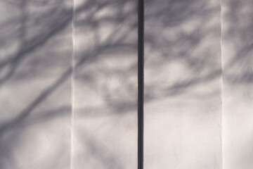 grey building wall with bare tree shadows - city background