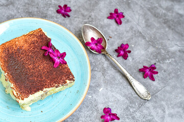Homemade ketogenic tiramisu cake . Sweet Italian dessert   made   with almond flour , mascarpone, cream, erythritol, cocoa, coffee and  bio egg