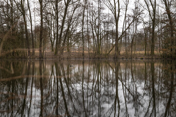 Fototapeta na wymiar See im Wald mit Spieglung. Langzeitbelichtung Aufnahme im Frühling.