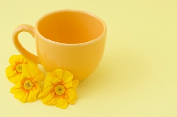 kleine gelbe Tasse mit gelben Blumen vor gelben Hintergrund in Nahaufnahme 