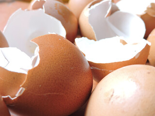 broken egg shell